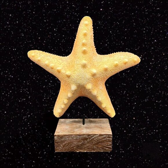 Starfish on Faux Wood Sculpture Figurine Large Wide 11”t 8”w - Picture 5 of 9